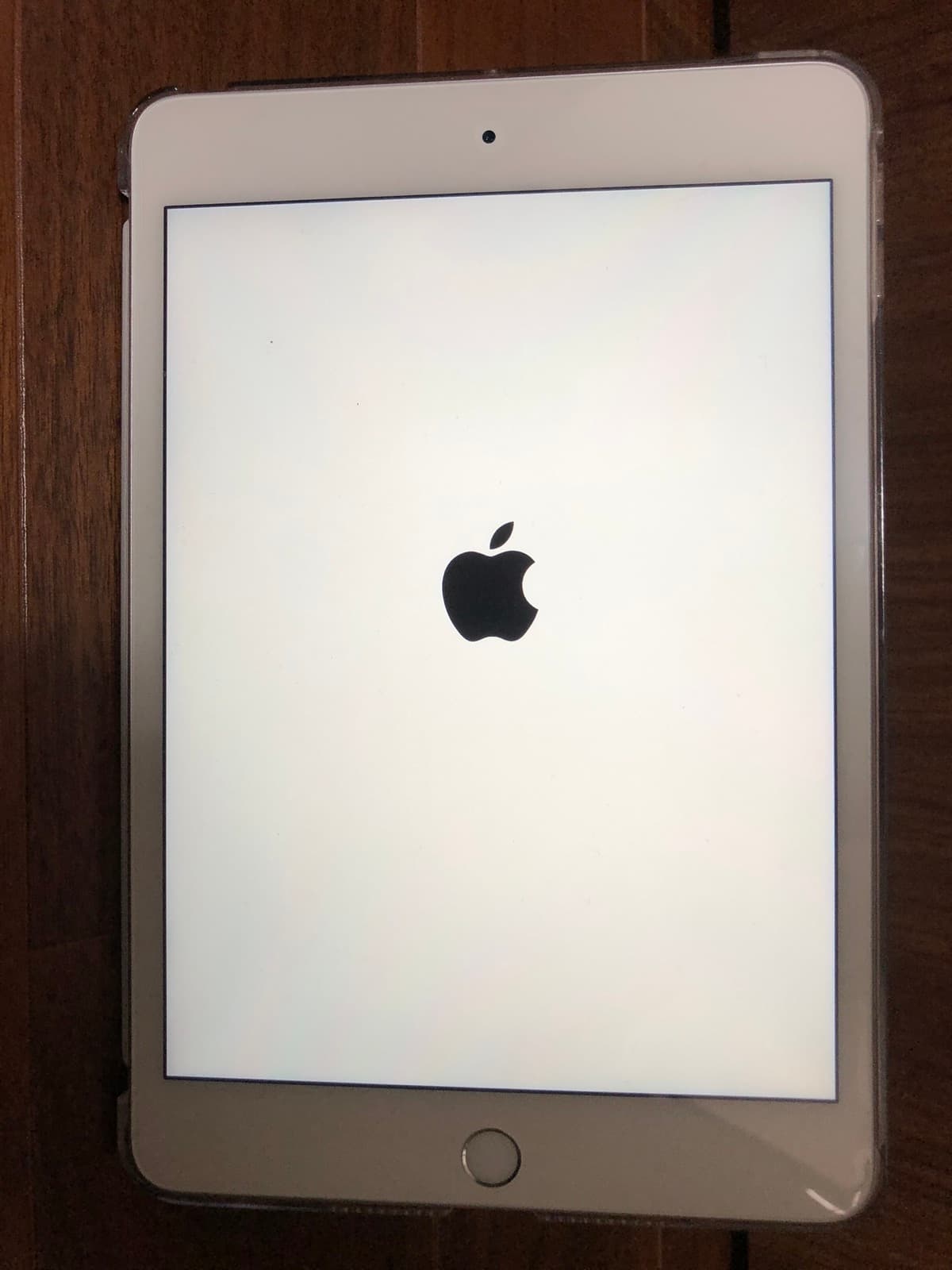 iPad mini (5th gen)