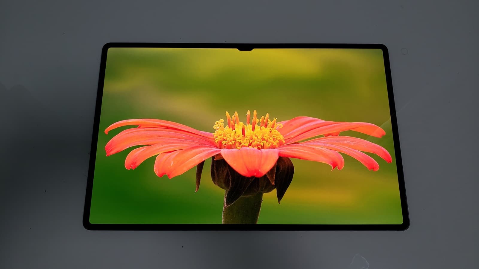 Galaxy Tab S8 Ultra